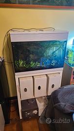acquario Askoll pure led L 70 litri bianco con mob