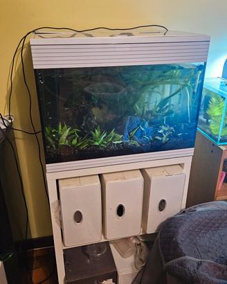 acquario Askoll pure led L 70 litri bianco con mob
