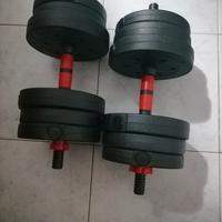 coppia manubri da 10 kg