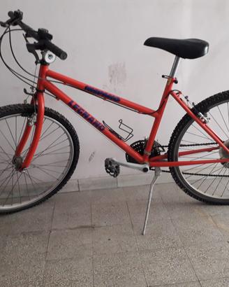 Bicicletta Mountain Bike colore Rosso