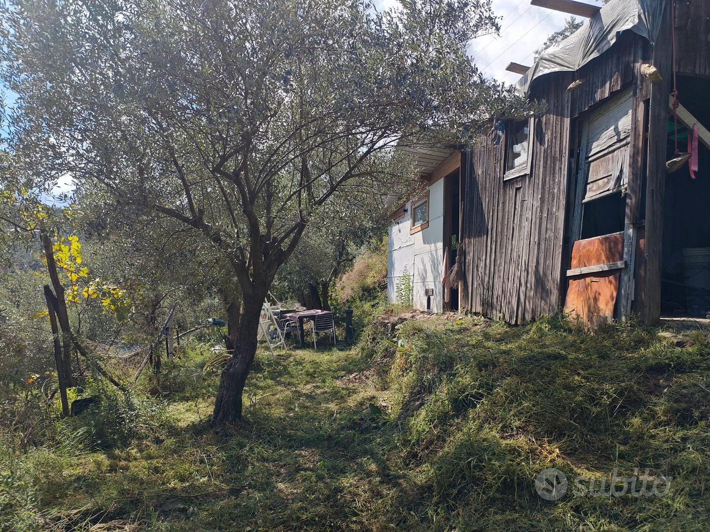 Terreno agricolo uliveto - Vista 5