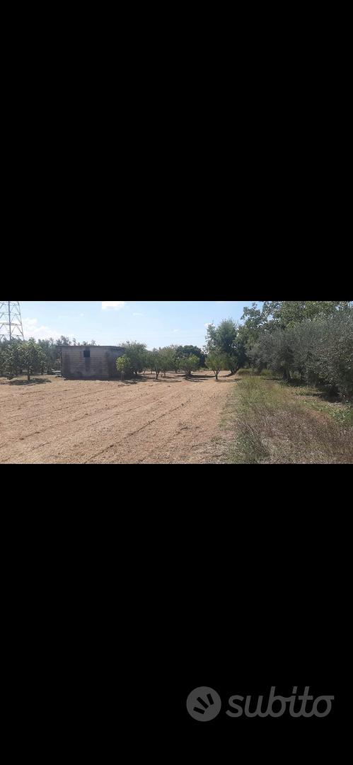 terreno con rustico - Altro