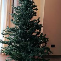 Albero di Natale addobbato