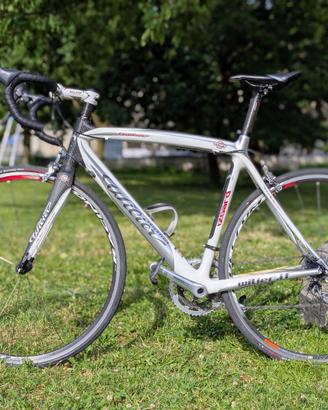 Bici in carbonio Wilier Izoard