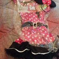 Vestito carnevale Minnie