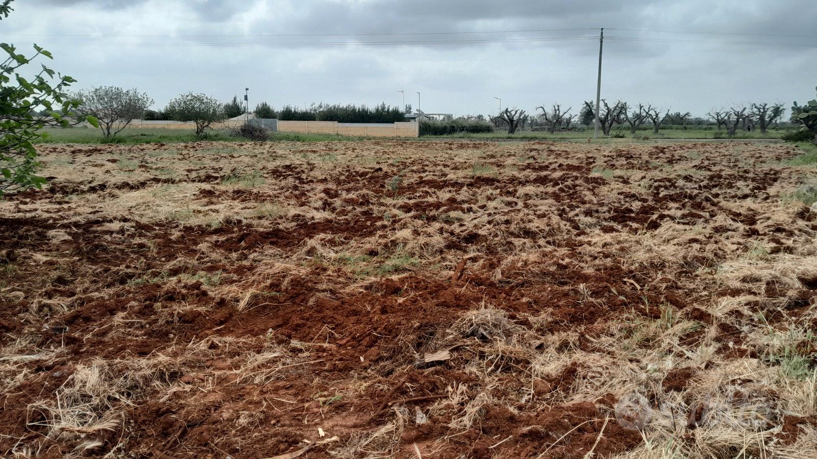 Terreno agricolo - Altro
