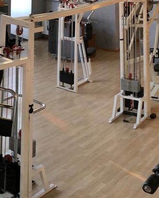 Cavi incrociati technogym