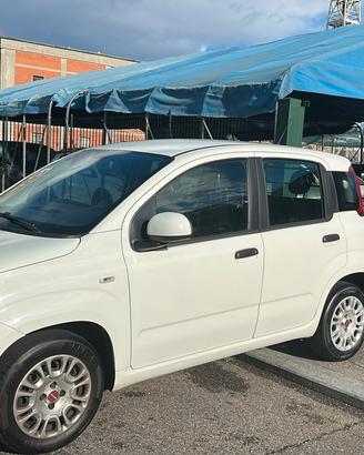 Fiat Panda 1.2 Easy Van 4 posti