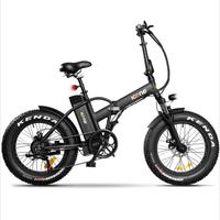 Bicicletta elettrica