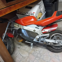 Vendita minimoto