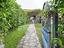 Immagine 29