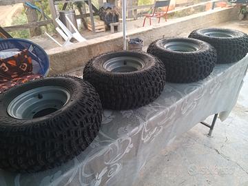 ruote complete quad Buggy carrozzina Observer 4x4