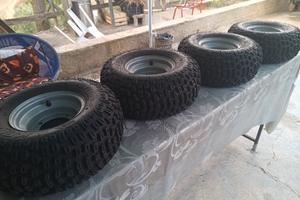 ruote complete quad Buggy carrozzina Observer 4x4