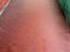 Immagine 19