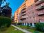 Immagine 28