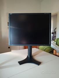 Monitor professionale Nec