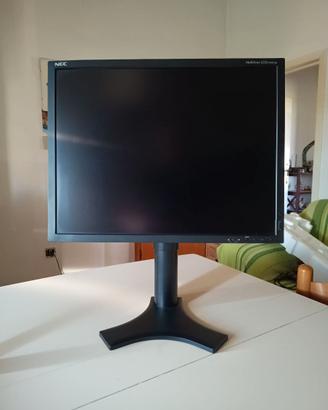 Monitor professionale Nec