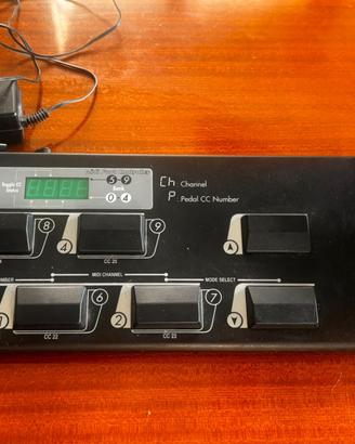 Digitech Control 8, pedaliera MIDI 
