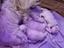 Immagine 3