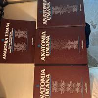 Libri