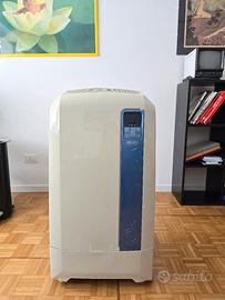 condizionatore e deumidificatore Pinguino DeLonghi