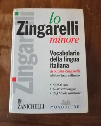Dizionari di italiano