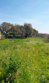 Terreno 1000 Mq Edificabile a Piano D'Api