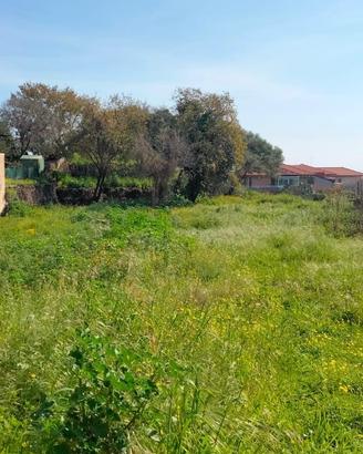 Terreno 1000 Mq Edificabile a Piano D'Api