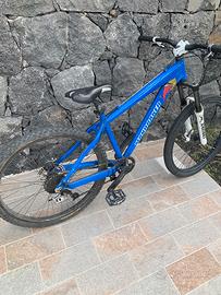 Bici mondraker