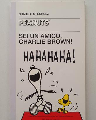 Lotto fumetti Charlie Brown - Peanuts