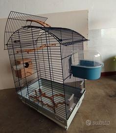 Gabbia uccelli pappagallini