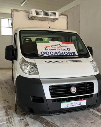 FIAT DUCATO FRIGORIFERO ANNO 2010