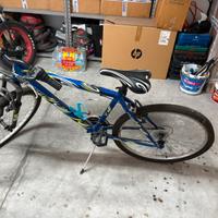 Bici da ragazzi