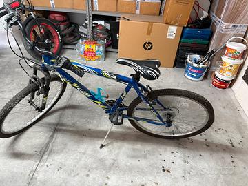 Bici da ragazzi