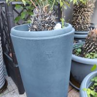 Vaso fioriera Veca alto, di design, grigio scuro