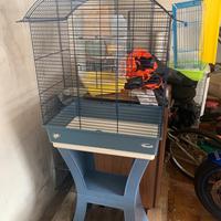 Gabbia per piccoli pappagalli