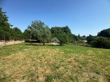 TER. AGRICOLO A SAN CESAREO