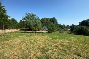 TER. AGRICOLO A SAN CESAREO