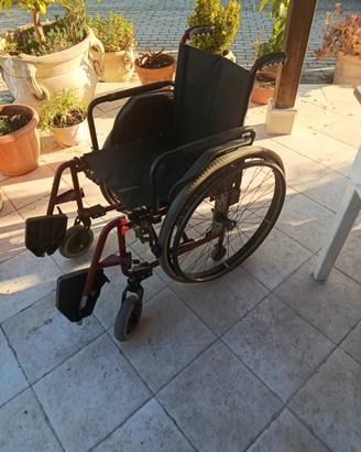 Sedia a rotelle