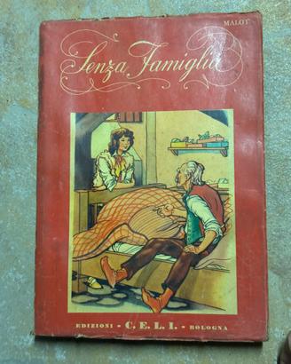 Libro vintage "Senza famiglia"