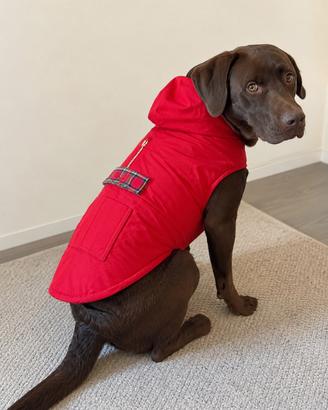 Impermeabile rosso per cane con cappuccio