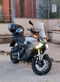 Traicer 9 gt anno 2025