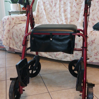 Deambulatore/sedia a rotelle Rolly 2