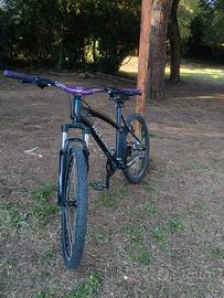 MTB/Wheelie TRATTABILE 