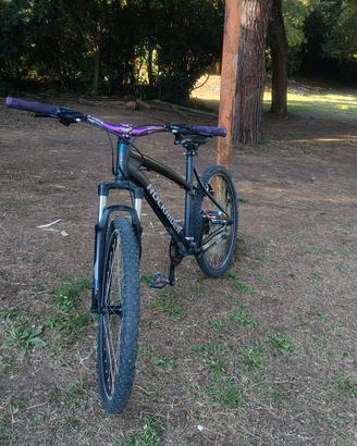 MTB/Wheelie TRATTABILE 