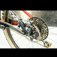 MTB S-Works full