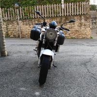 BORSE E STRUTTURA PER SUZUKI SV 650