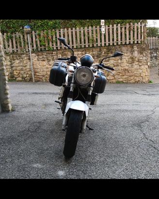 BORSE E STRUTTURA PER SUZUKI SV 650