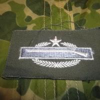 Us Army Combat Infantry Badge Vietnam War Vintage