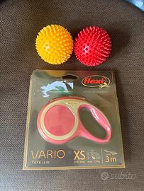 Guinzaglio e palline